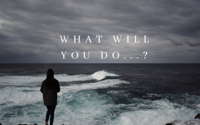What will you do…….?